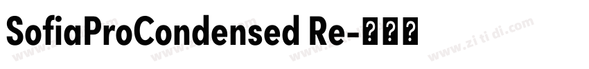 SofiaProCondensed Re字体转换 SofiaProCondensed Re字体转换